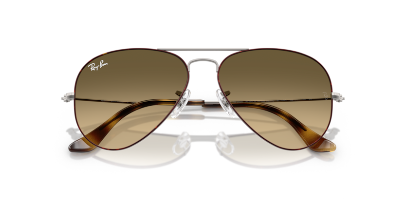 Ray-Ban RB3025 Aviator Sunglasses