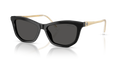 Swarovski SK6057  Sunglasses