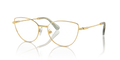 Swarovski SK1012  Eyeglasses
