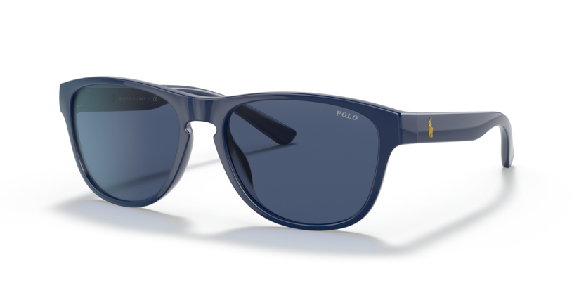 Polo PH4180U  Sunglasses