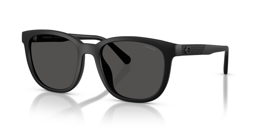 Coach HC8442U Cca00 Sunglasses