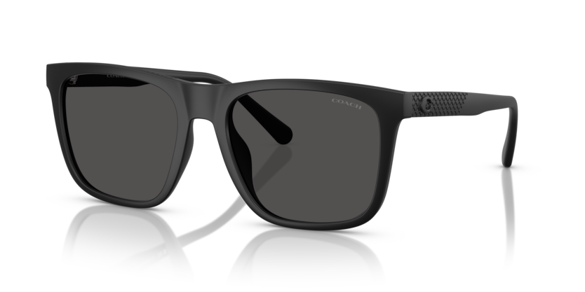 Coach HC8427U Cae78 Sunglasses