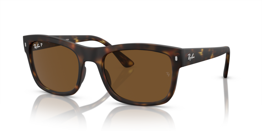 Ray-Ban RB4428F  Sunglasses
