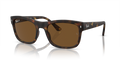Ray-Ban RB4428F  Sunglasses