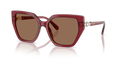 Swarovski SK6016  Sunglasses