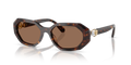 Swarovski SK6028  Sunglasses