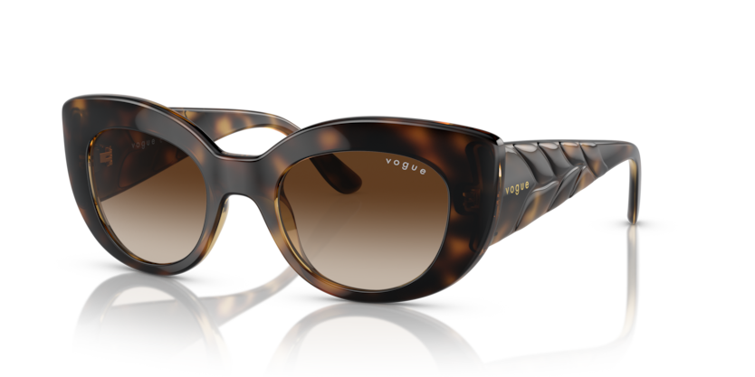 Vogue VO5480S  Sunglasses