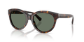 Tiffany TF4271F  Sunglasses