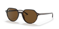 Ray-Ban RB2195 Thalia Sunglasses