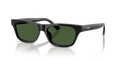 Polo PH4238U  Sunglasses
