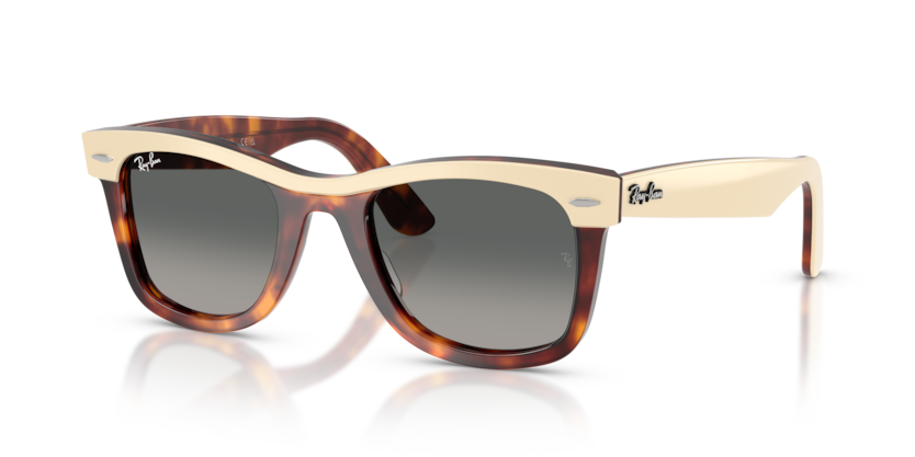 Ray-Ban RB2240 Wayfarer Sunglasses