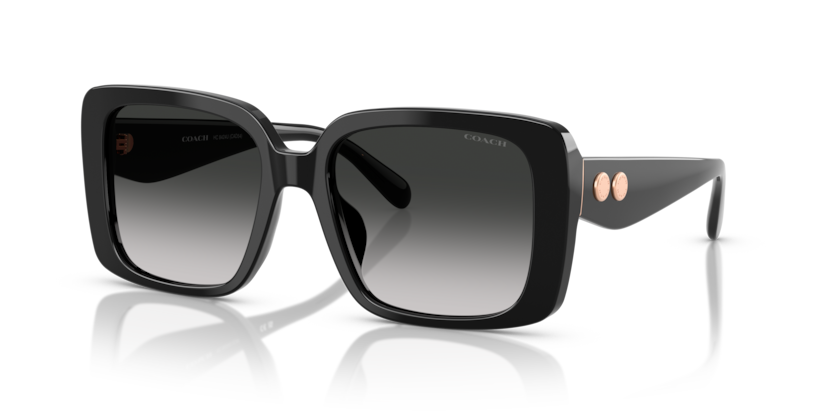 Coach HC8424U Cad54 Sunglasses