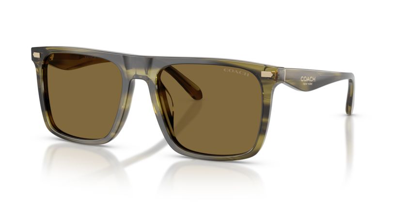 Coach HC8440U Cby95 Sunglasses