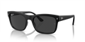 Ray-Ban RB4428F  Sunglasses