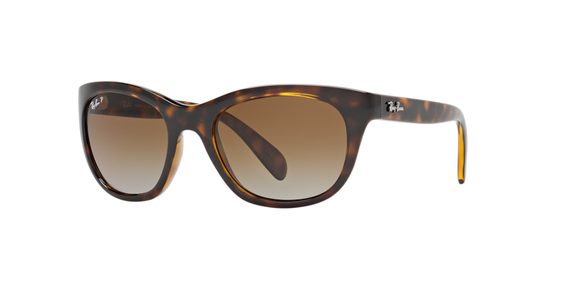 Ray-Ban RB4216  Sunglasses