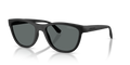 Arnette AN4379  Sunglasses