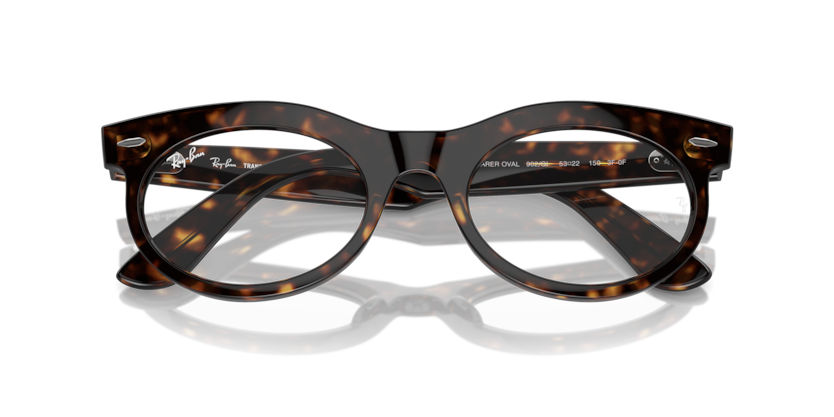 Ray-Ban RB2242 Wayfarer Oval Sunglasses