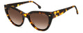 Carrera 3017/s Sunglasses