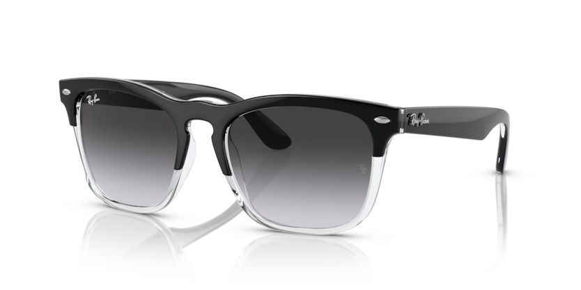 Ray-Ban RB4487 Steve Sunglasses