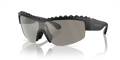 Swarovski SK6014  Sunglasses