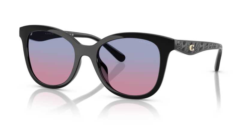 Coach HC8419U Cad25 Sunglasses