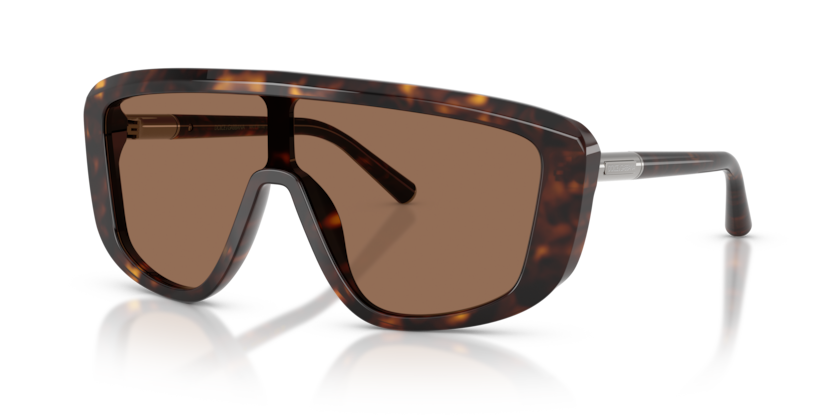 Dolce & Gabbana DG4520  Sunglasses