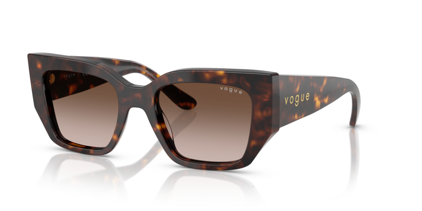 Vogue VO5583SF  Sunglasses