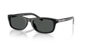 Diesel DL2018U  Sunglasses