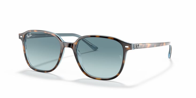 Ray-Ban RB2193 Leonard Sunglasses