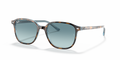 Ray-Ban RB2193 Leonard Sunglasses