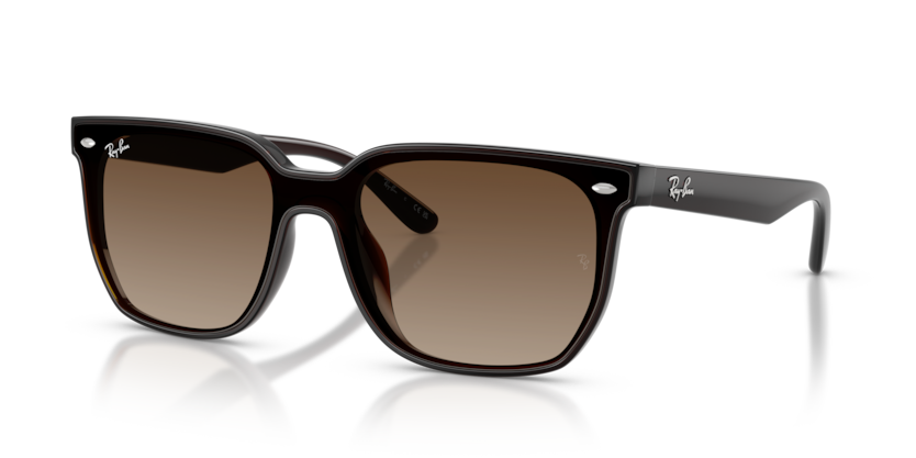 Ray-Ban RB4466D  Sunglasses