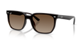 Ray-Ban RB4466D  Sunglasses