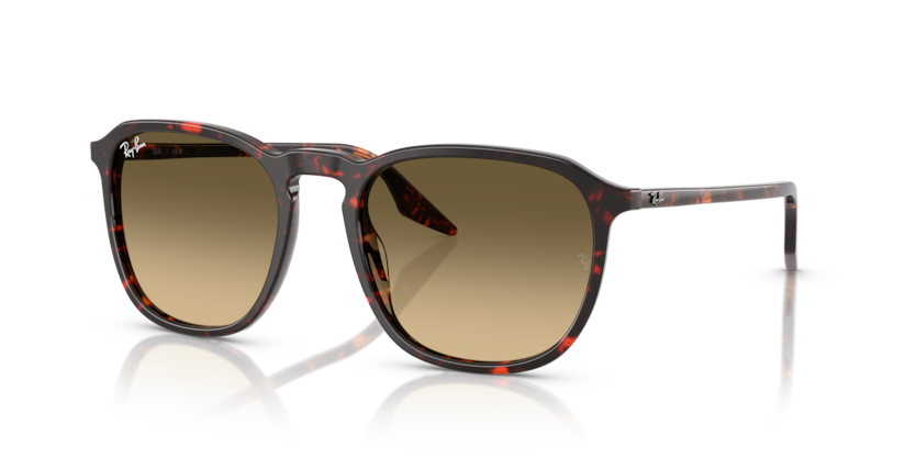 Ray-Ban RB2203  Sunglasses