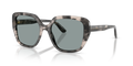 Dolce & Gabbana DG4569  Sunglasses