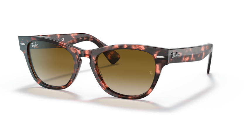Ray-Ban RB2201 Laramie Sunglasses