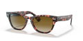 Ray-Ban RB2201 Laramie Sunglasses