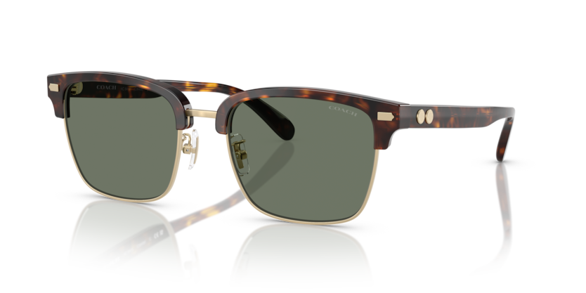 Coach HC8412 Cw406 Sunglasses