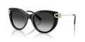 Tiffany TF4232F  Sunglasses