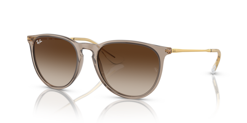 Ray-Ban RB4171F Erika Sunglasses