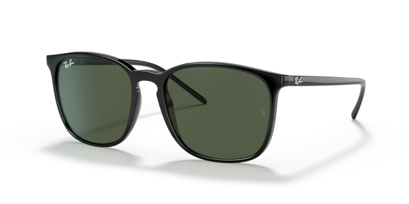 Ray-Ban RB4387  Sunglasses