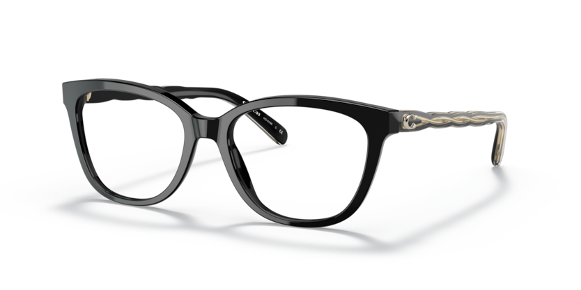 Coach HC6186  Eyeglasses