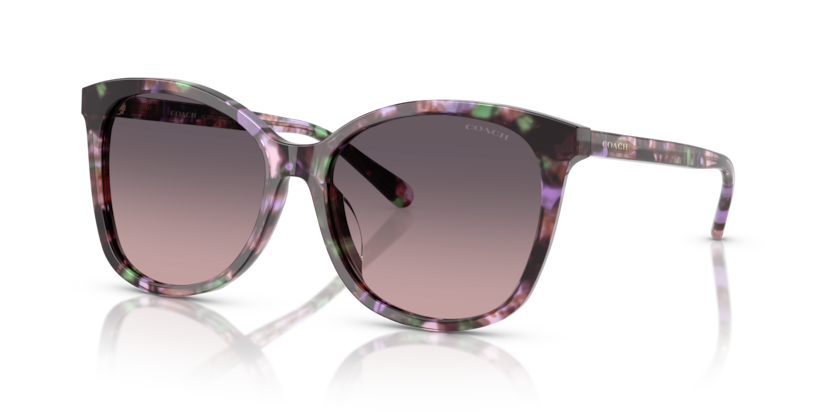 Coach HC8271U L1101 Sunglasses