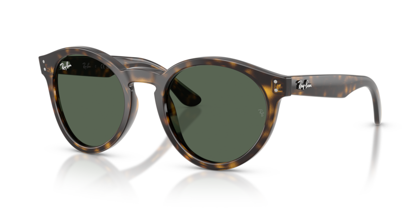 Ray-Ban RBR0505S  Sunglasses
