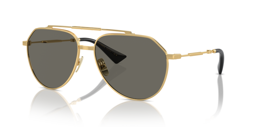 Dolce & Gabbana DG2302  Sunglasses