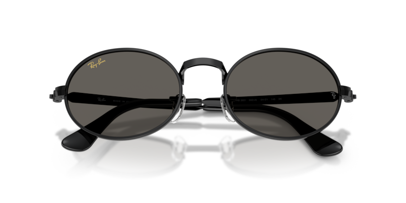 Ray-Ban RB3931  Sunglasses