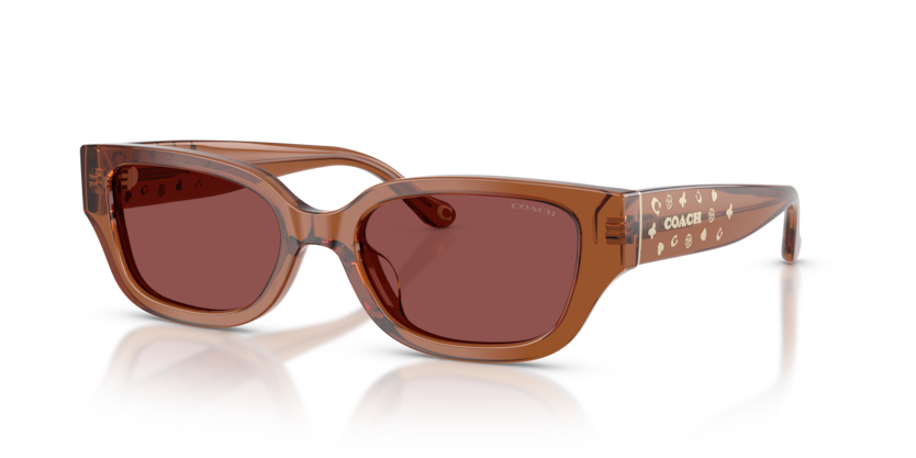 Coach HC8439U Cbz52 Sunglasses