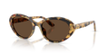 Dolce & Gabbana DG4570  Sunglasses
