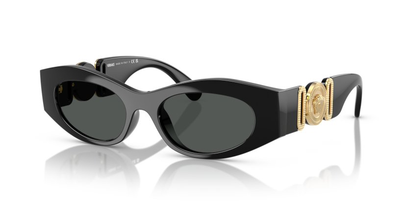 Versace VE4480U  Sunglasses