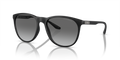 Emporio Armani EA4210  Sunglasses