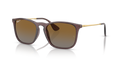 Ray-Ban RB4187 Chris Sunglasses